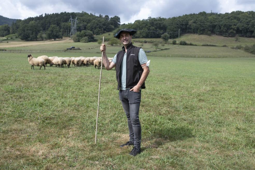 Eneko ante su rebaño en uno de los prados cerca desu caserío de Segura. 