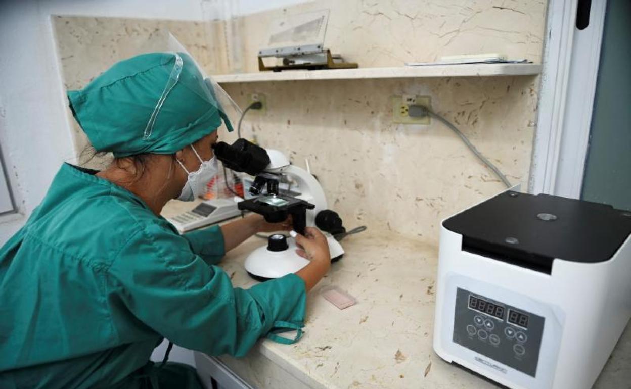 Coronavirus: Euskadi es la comunidad con la tasa de incidencia más alta del Estado