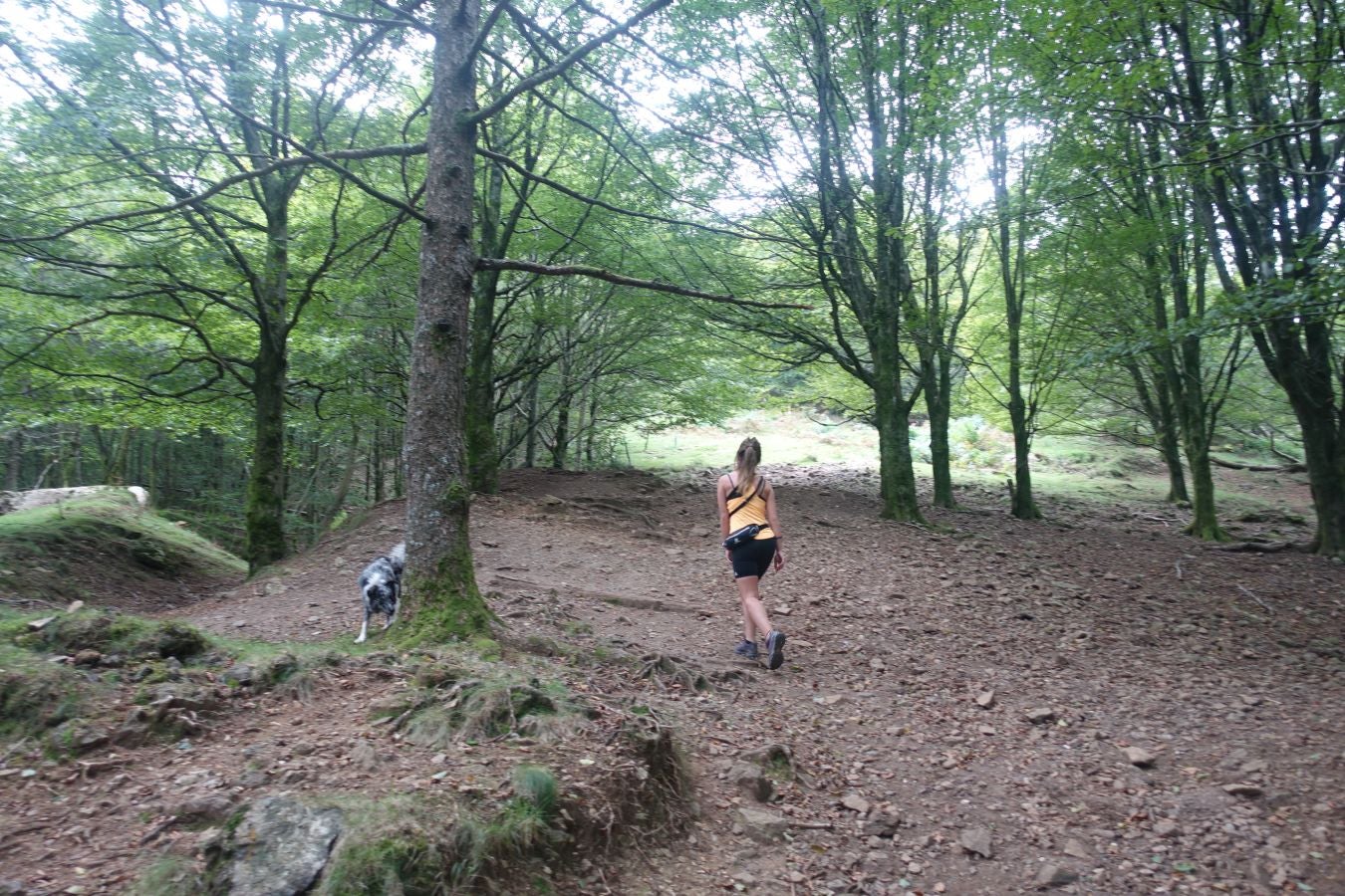 Erroilbide (832 m.), Txurrumurru (823 m.) y Irumugarrieta (806 m.) forman parte de la gran mole que vigila cualquier movimientoen Orasoaldea