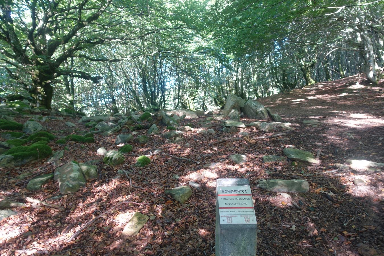 Fotos: Erakurri, tras los pasos de Basojaun