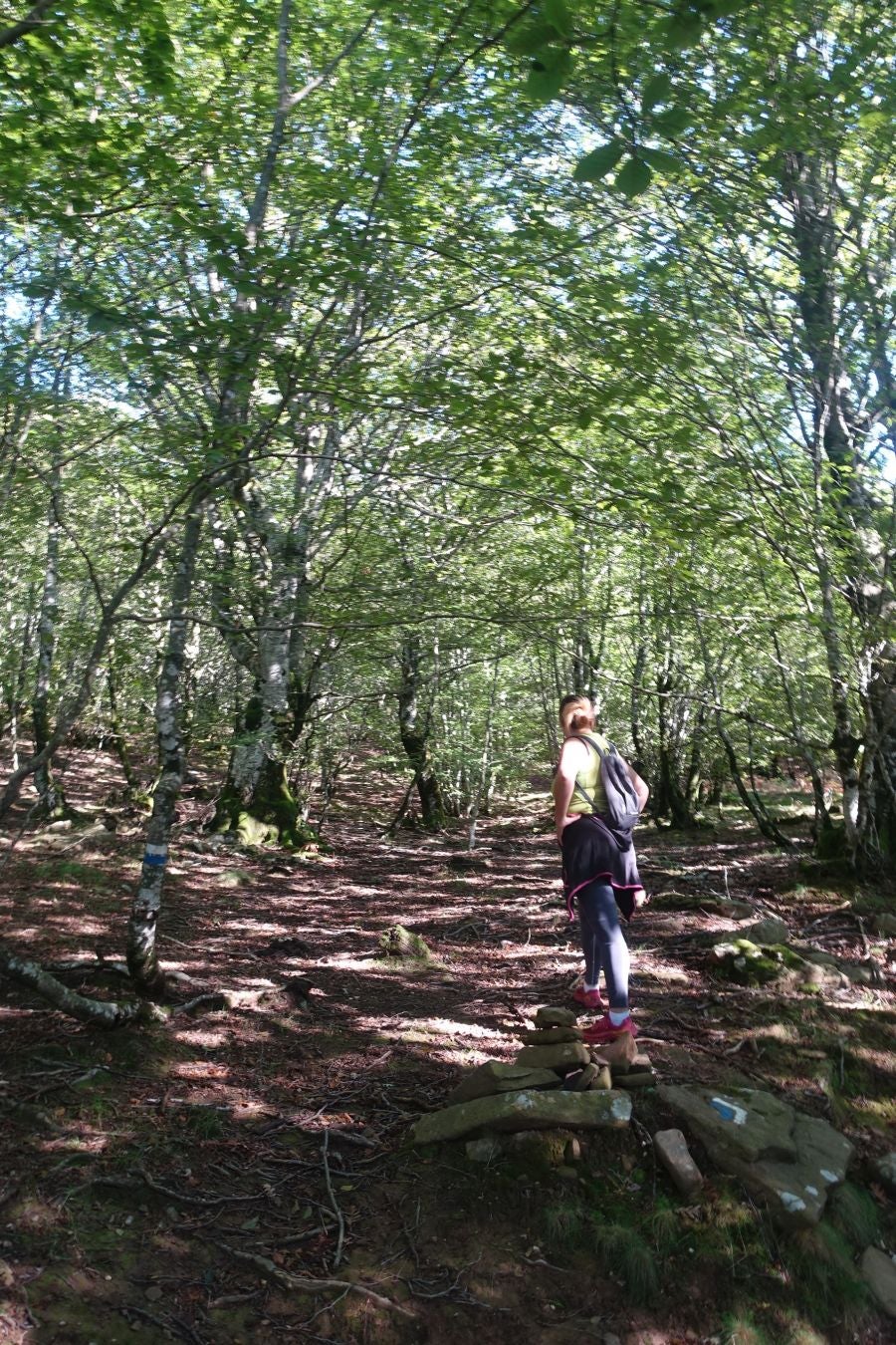 Fotos: Erakurri, tras los pasos de Basojaun