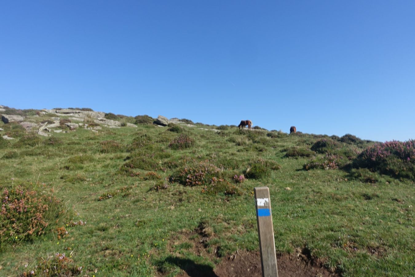 Fotos: Erakurri, tras los pasos de Basojaun