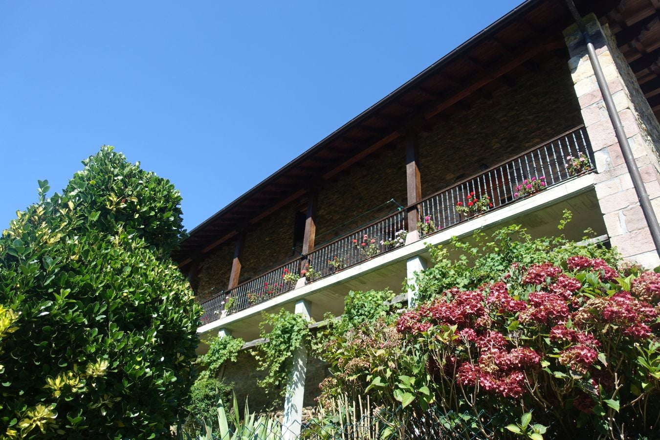 Fotos: Erakurri, tras los pasos de Basojaun