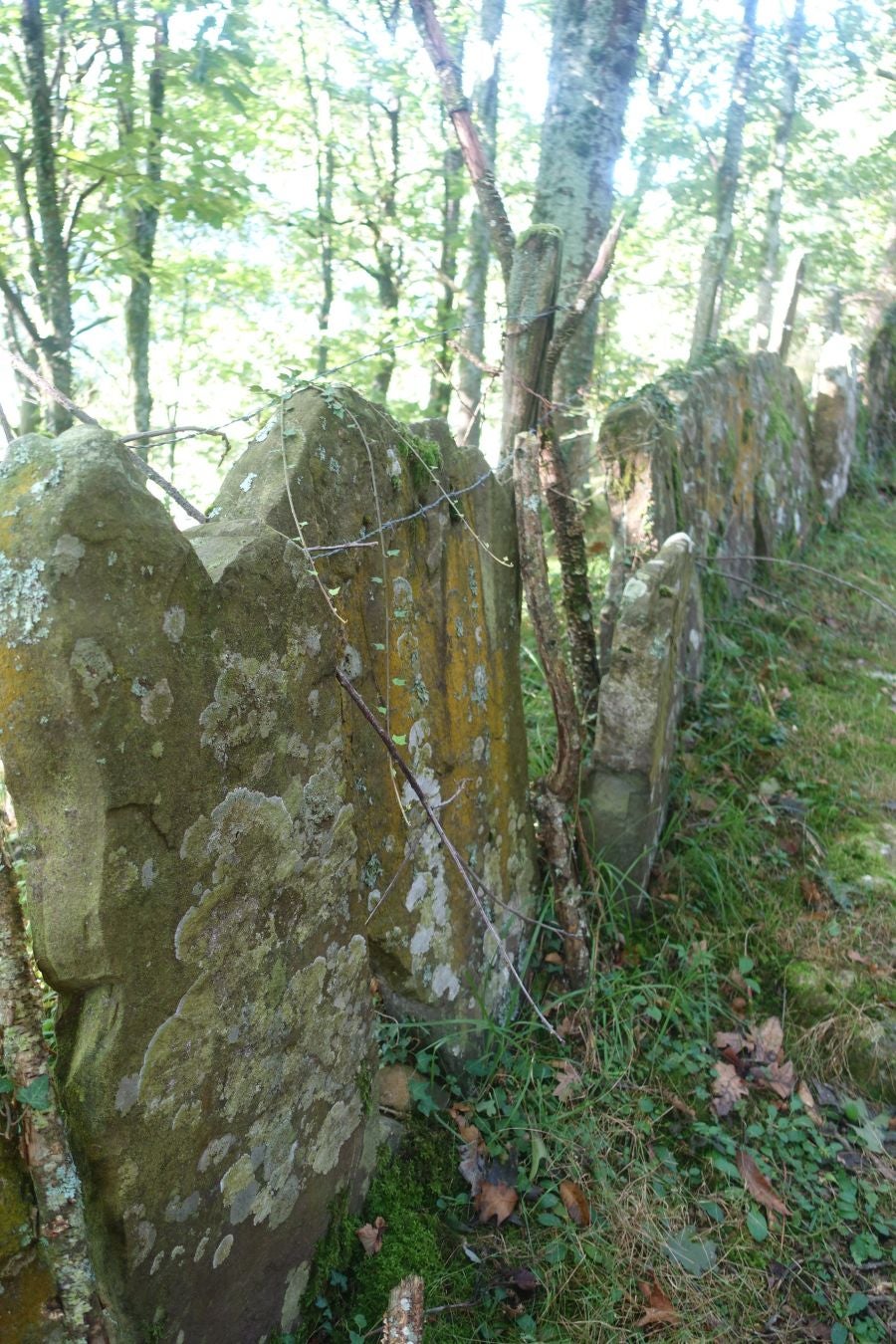 Fotos: Erakurri, tras los pasos de Basojaun