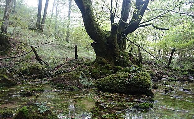 Galería. Las mejores imágenes de la ascensión al Erakurri.