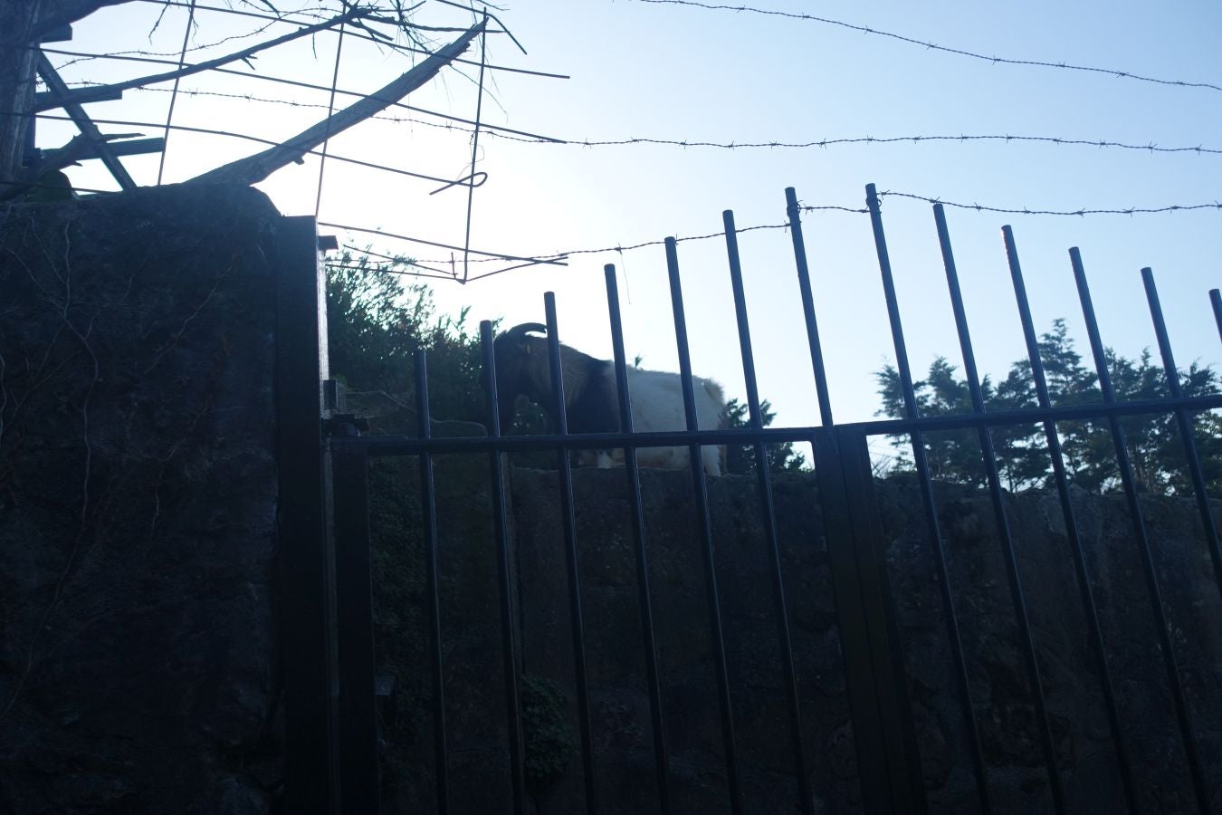 Fotos del Monte Ulia y la la ruta hasta Pasaia San Pedro