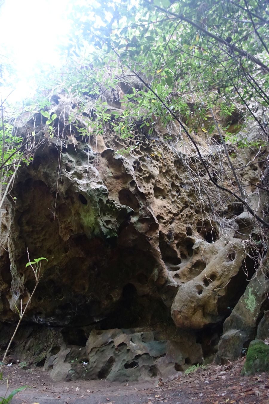 Fotos del Monte Ulia y la la ruta hasta Pasaia San Pedro