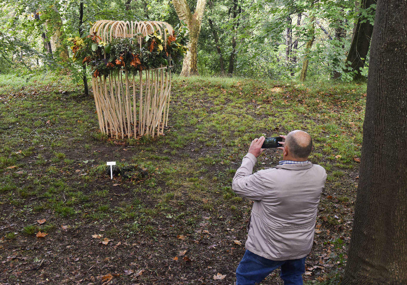Fotos: Muebles y naturaleza en armonía
