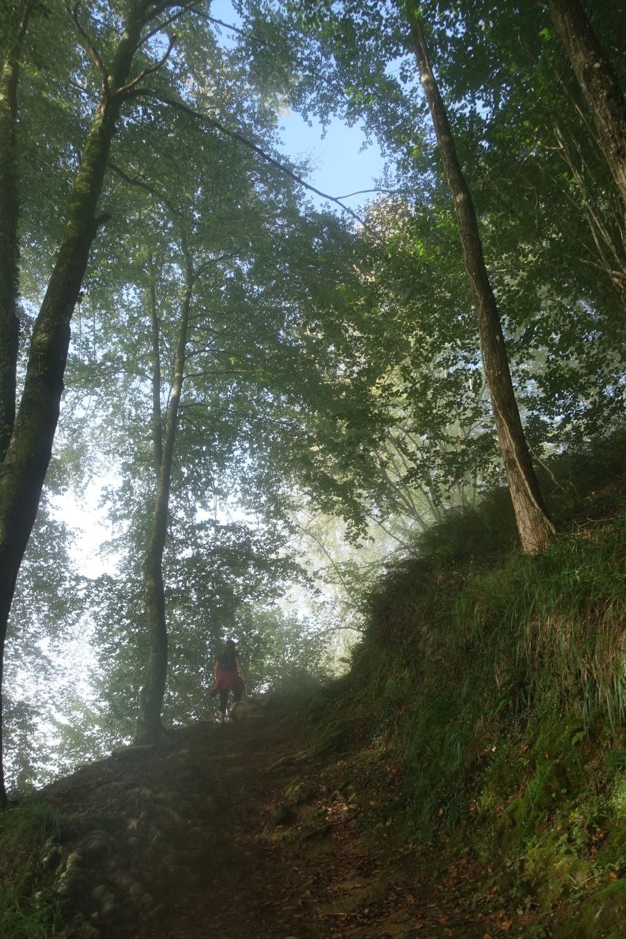 Fotos: Kakueta, regalo en Urola