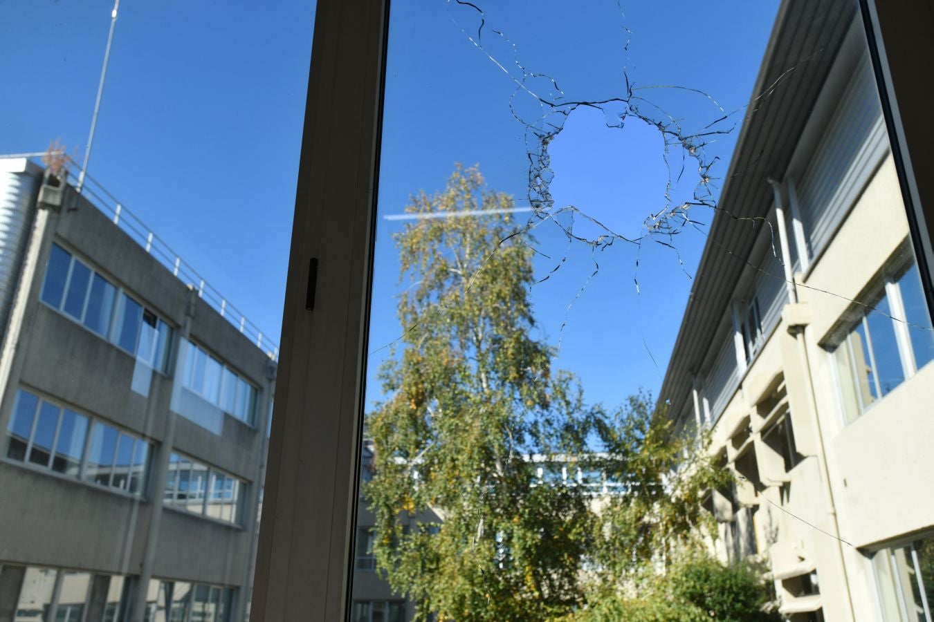 Fotos: El día después en la facultad de la UPV en Leioa