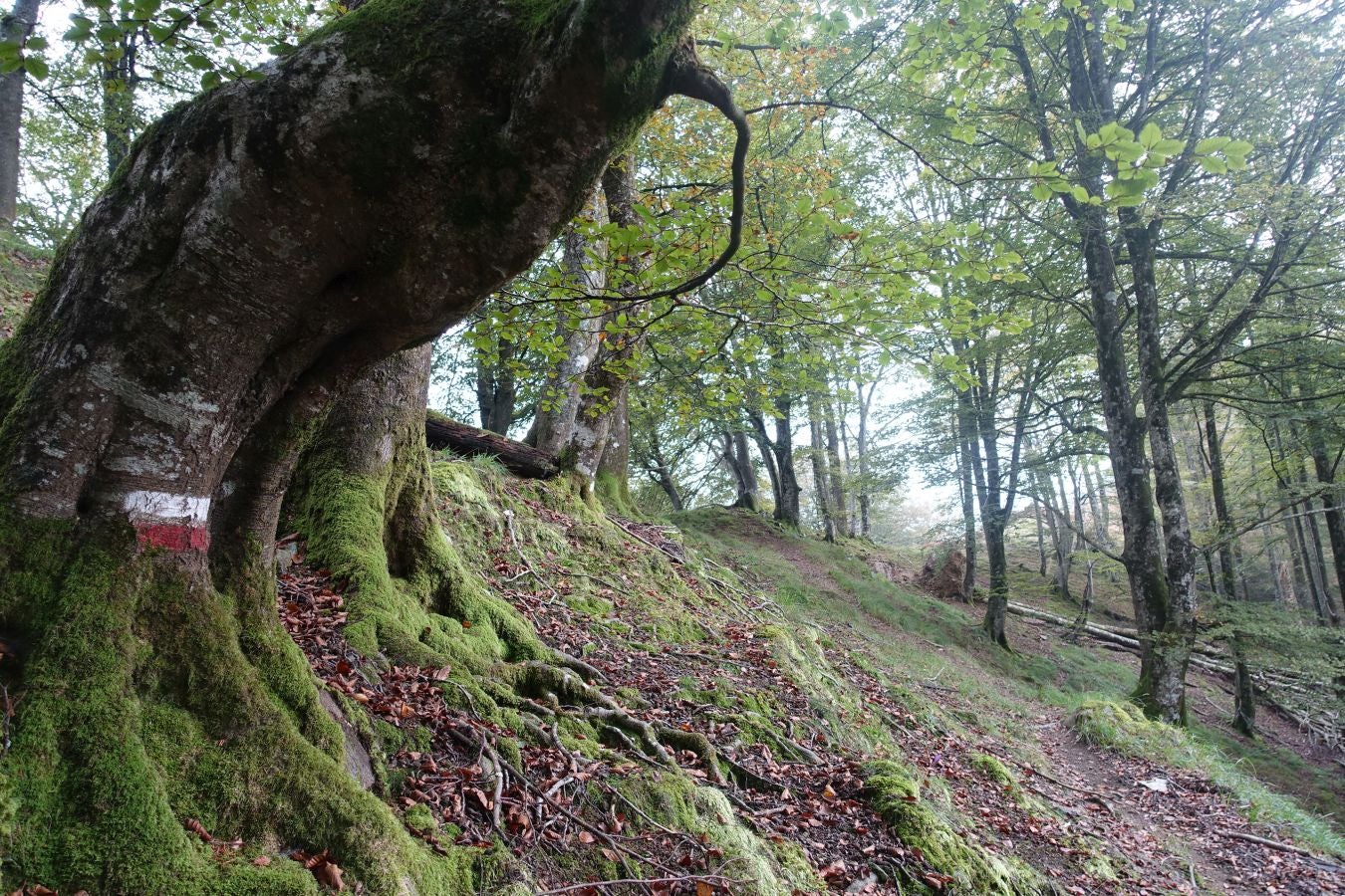 Fotos: Urkieta, sobre un mar de nubes