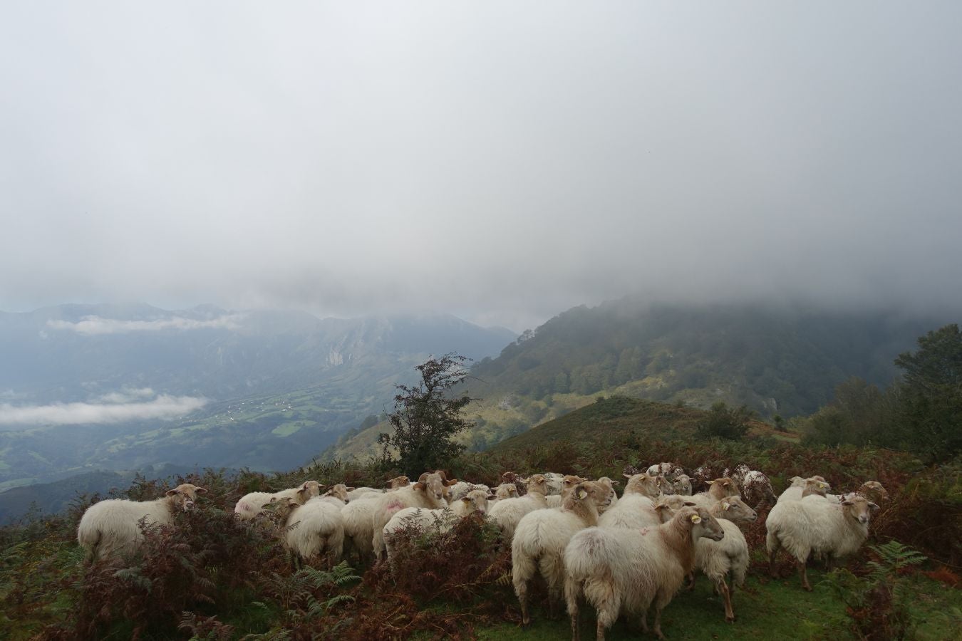 Fotos: Urkieta, sobre un mar de nubes