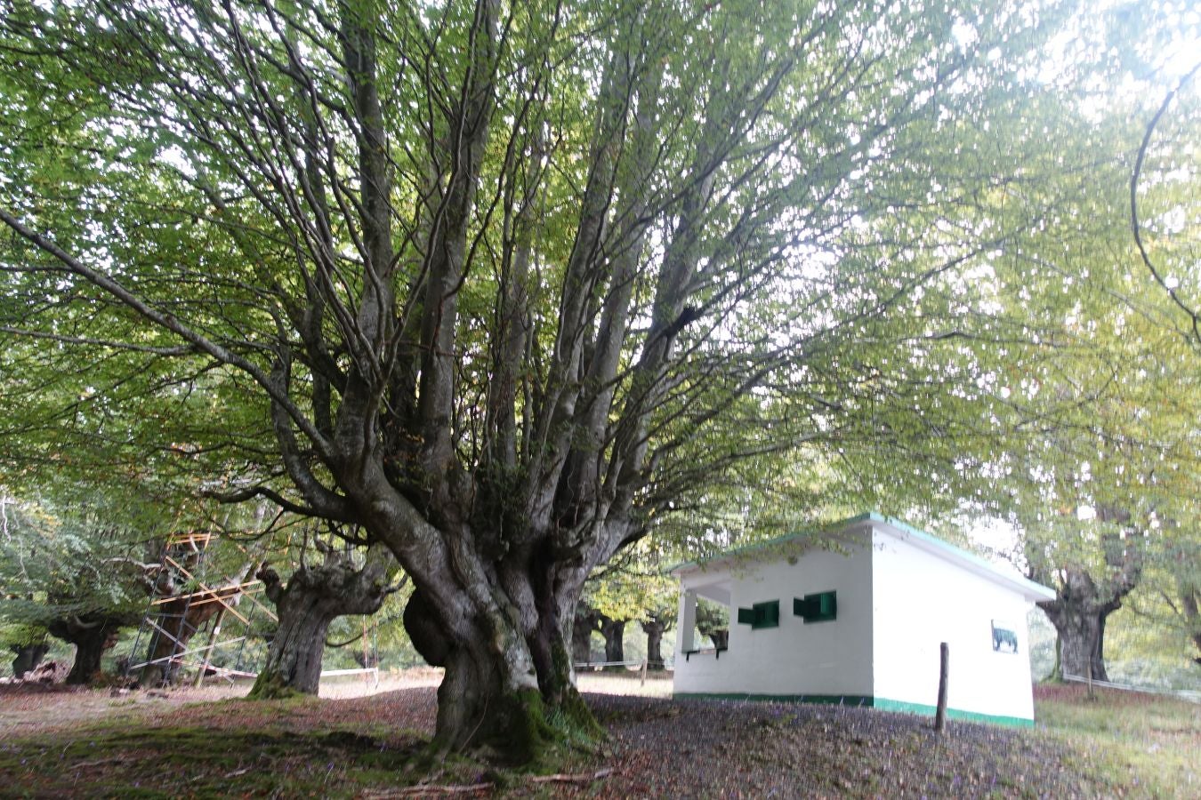 Fotos: Urkieta, sobre un mar de nubes