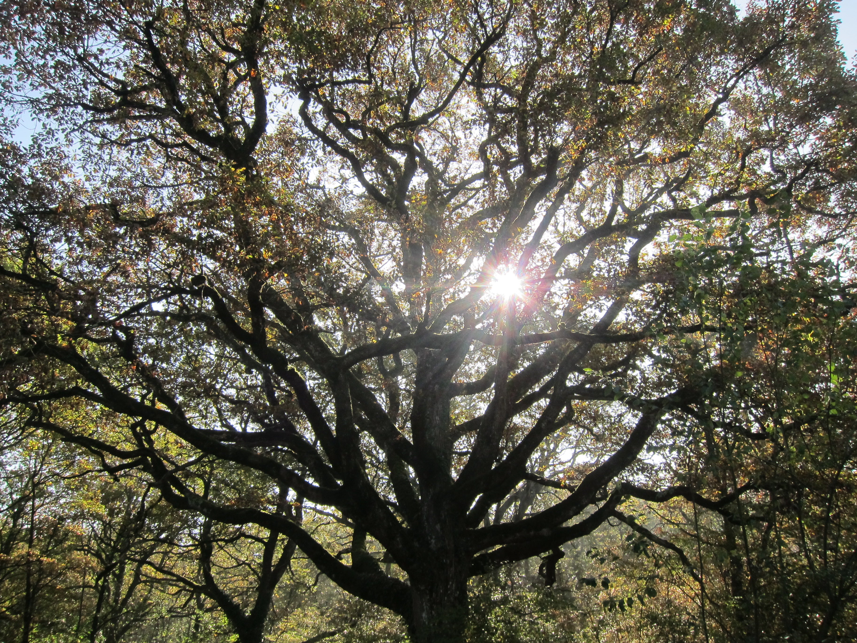 Fotos: Entre joyas naturales milenarias