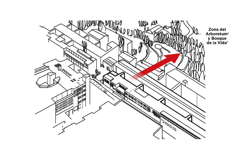 Scroll Story imagen 13