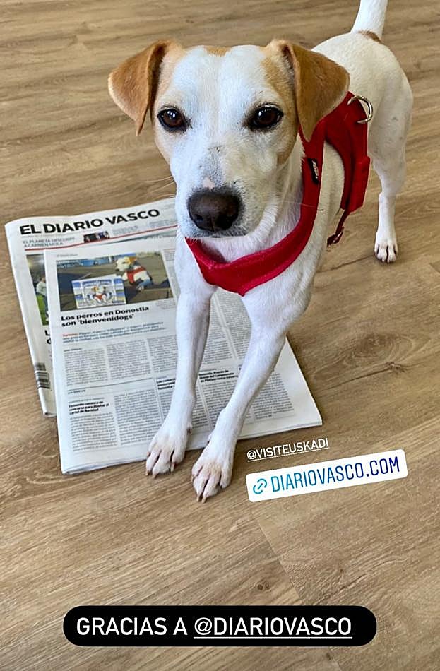 Pipper, agradece la publicación del artículo en DV.