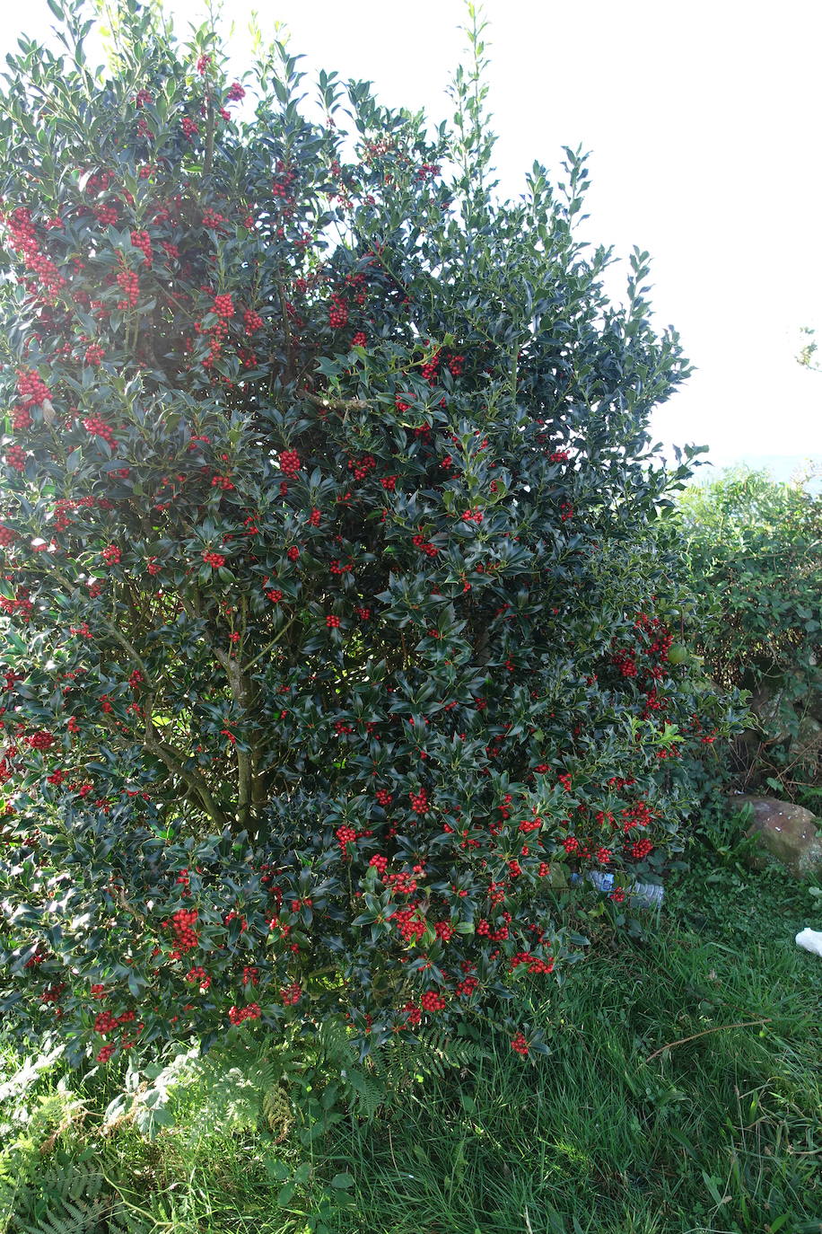 Fotos: Kukuarri, magníficas vistas al mar