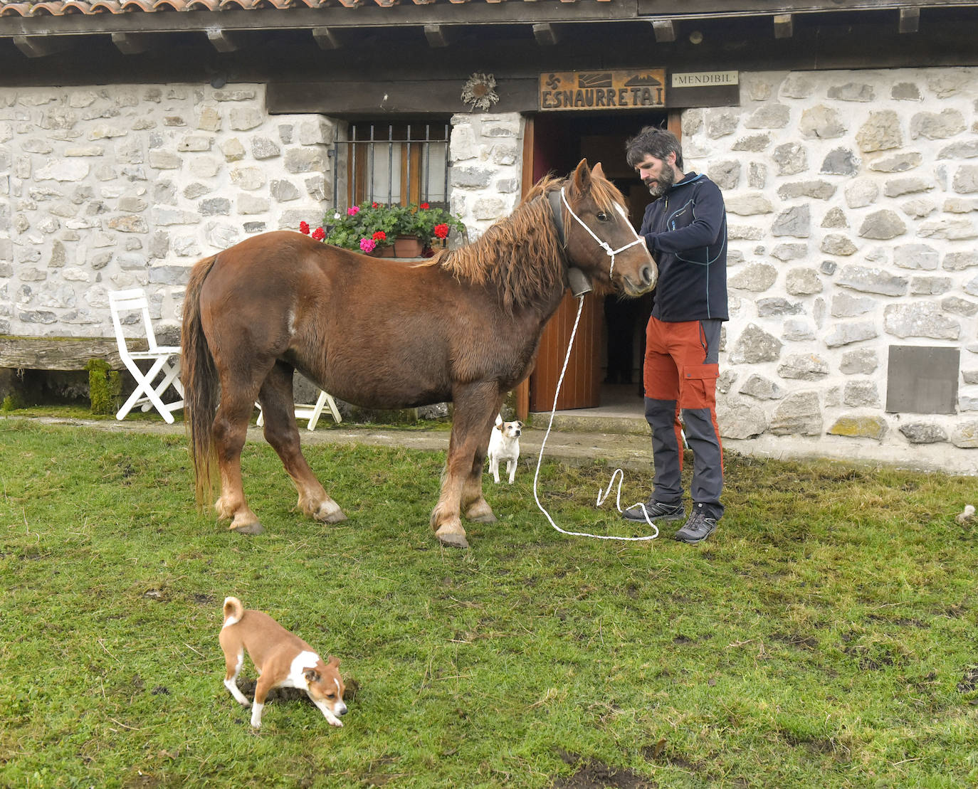 Fotos: Al ritmo del calendario de las ovejas