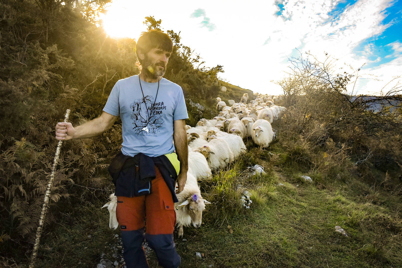 Fotos: Al ritmo del calendario de las ovejas
