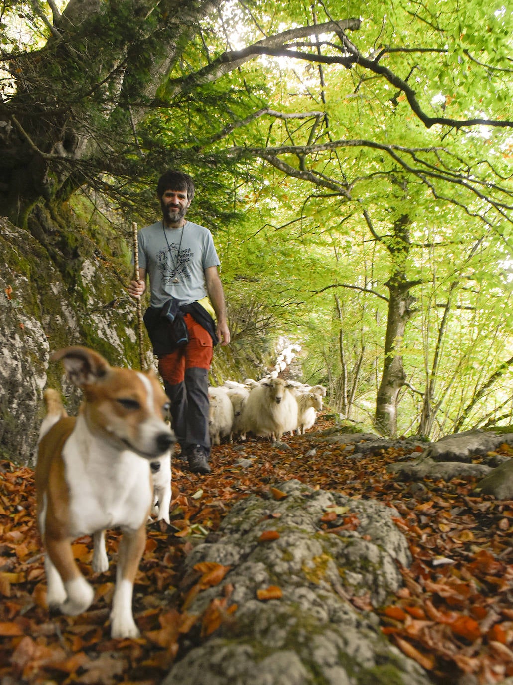 Fotos: Al ritmo del calendario de las ovejas