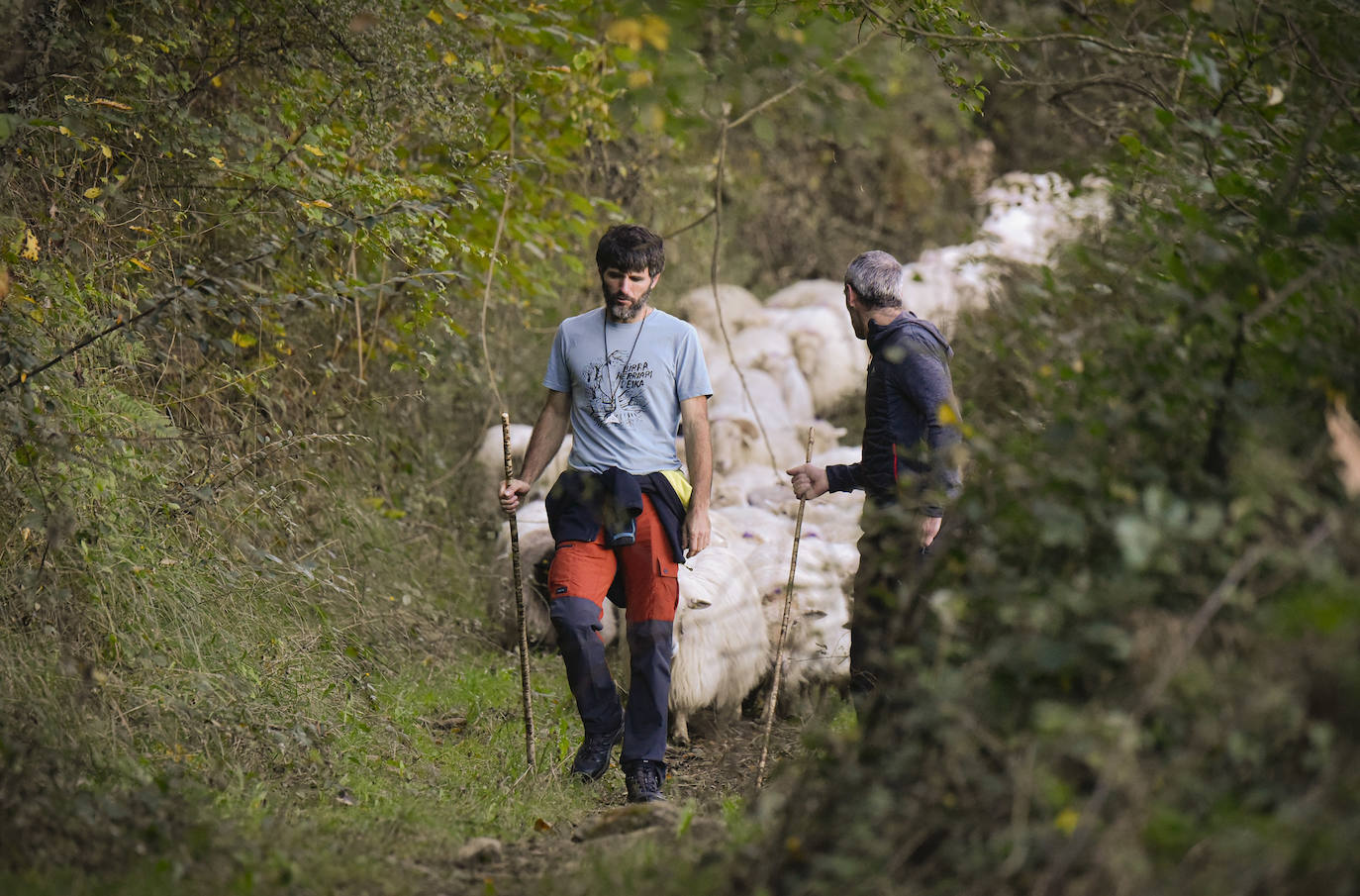 Fotos: Al ritmo del calendario de las ovejas