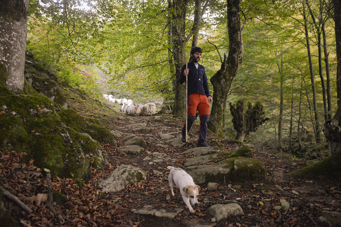 Fotos: Al ritmo del calendario de las ovejas