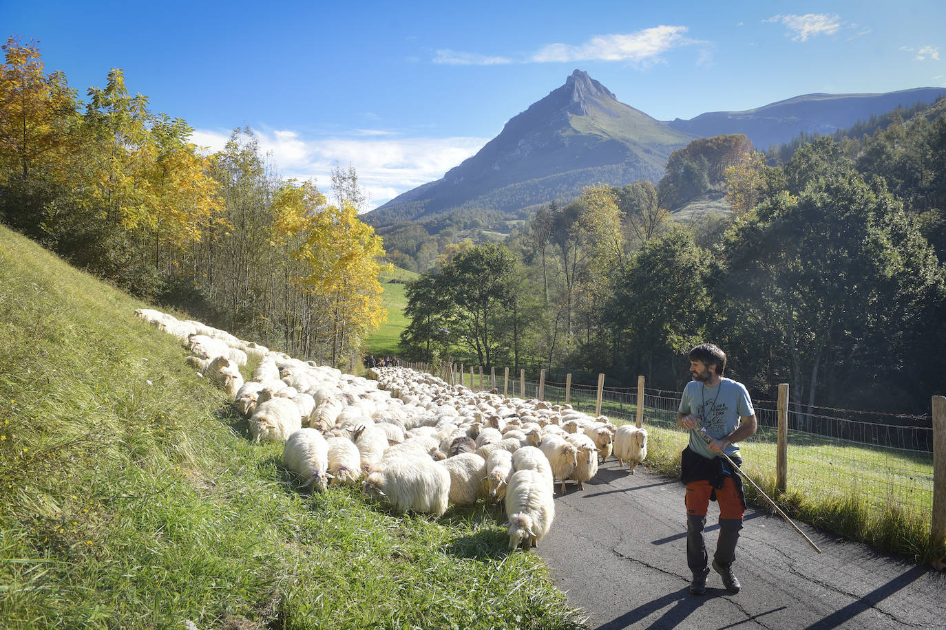 Fotos: Al ritmo del calendario de las ovejas