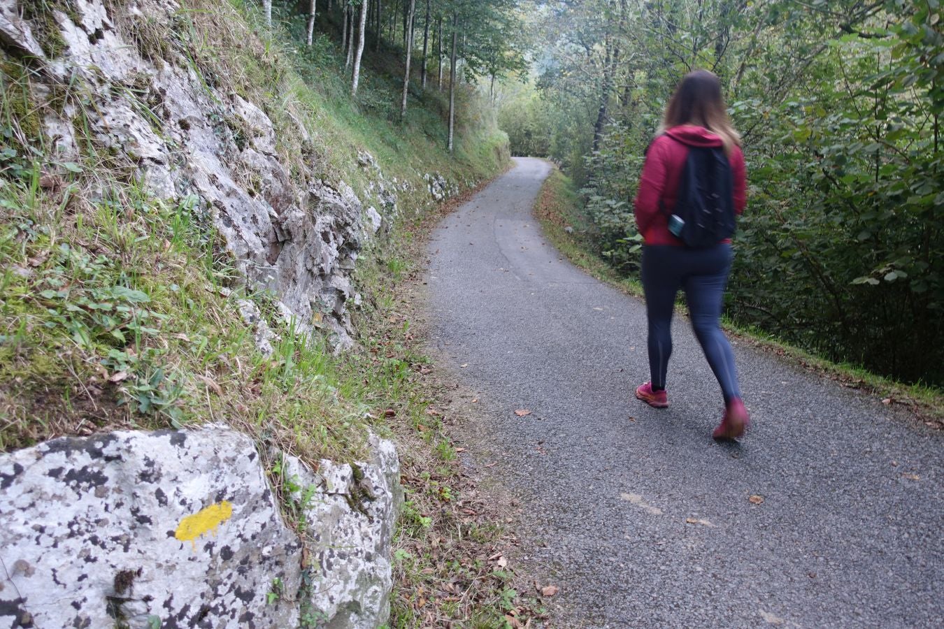 Fotos: Loatzo, un bonito rincón entre gigantes