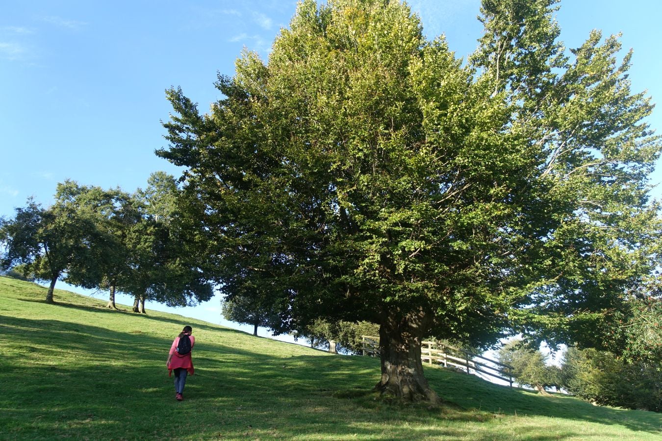 Fotos: Loatzo, un bonito rincón entre gigantes