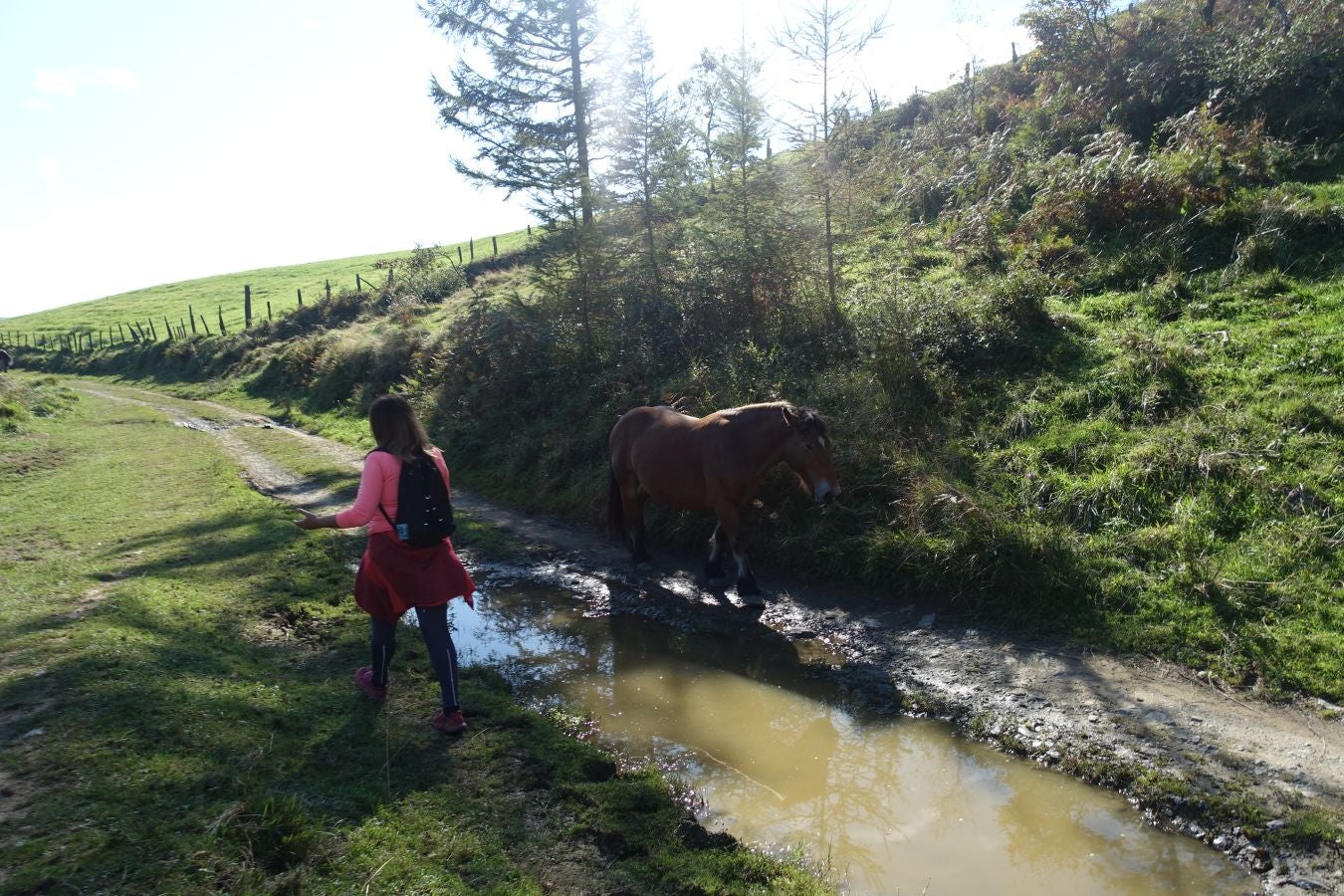 Fotos: Loatzo, un bonito rincón entre gigantes