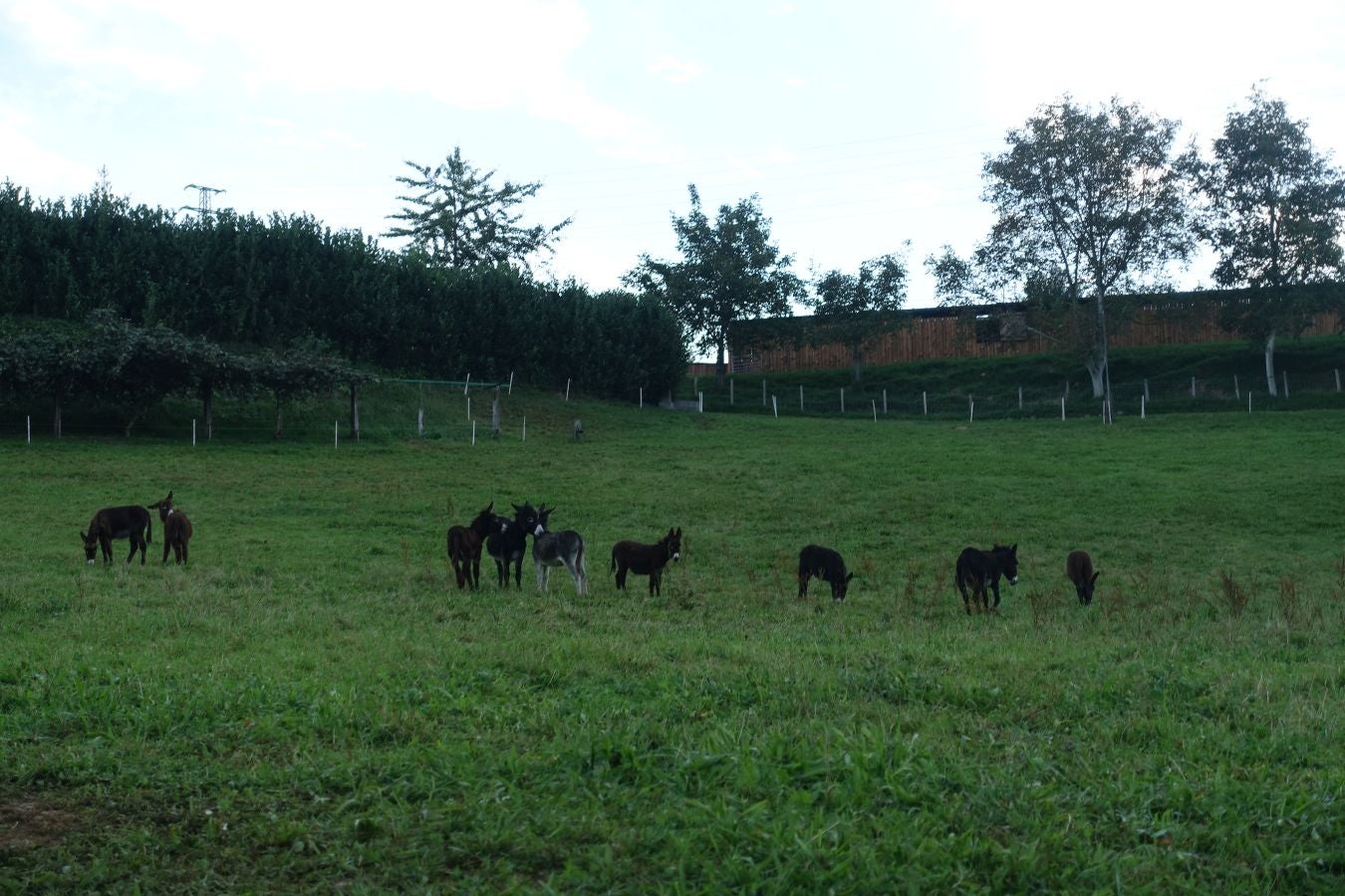 Fotos: Loatzo, un bonito rincón entre gigantes