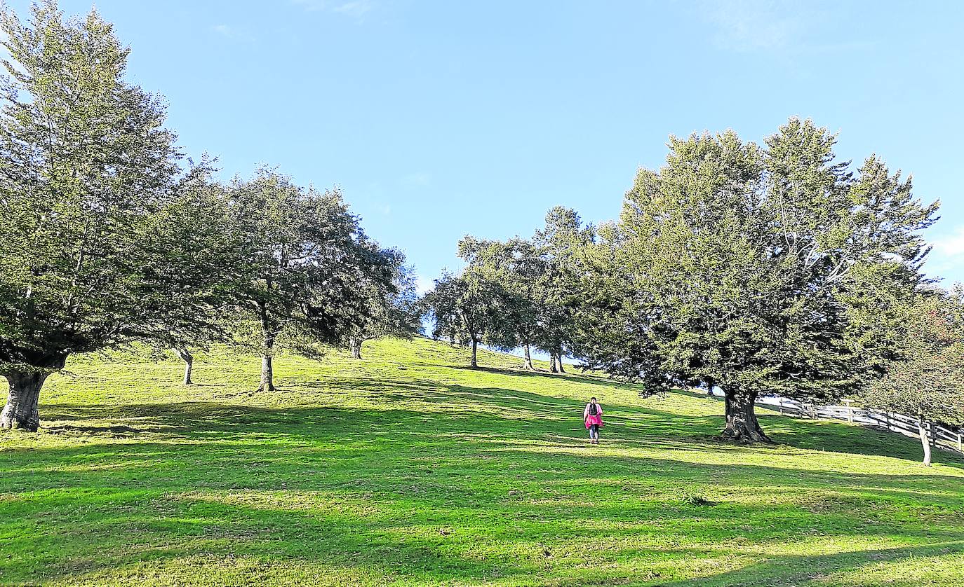 Fotos: Loatzo, un bonito rincón entre gigantes