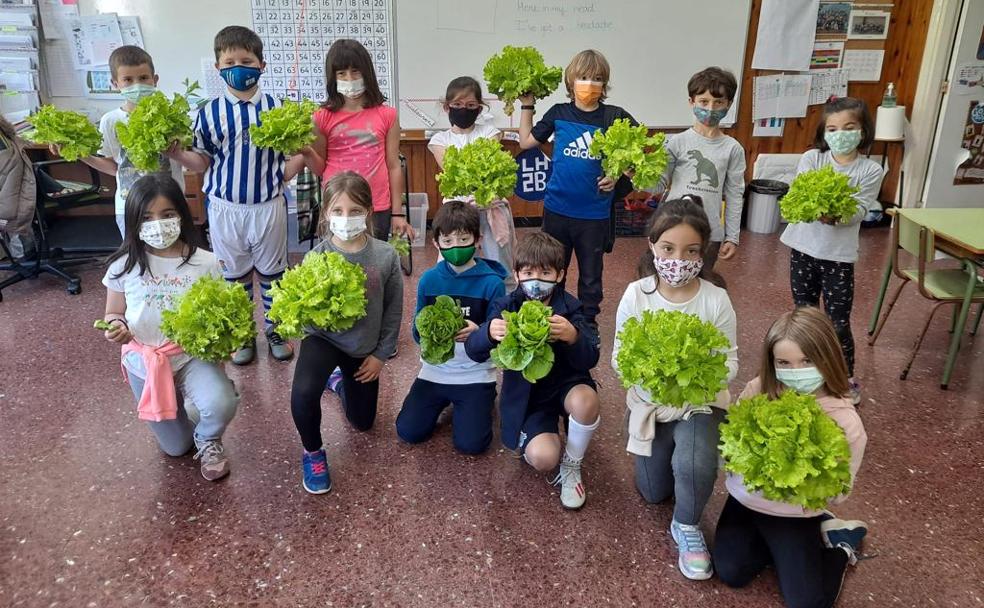 Ikastola jasangarria, Axular Lizeoaren etorkizuneko aztarna