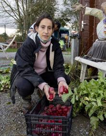 Imagen secundaria 2 - Sobre estas líneas, Jone Irizar y su padre Santos, del caserío Muno; Rubén Irisarri y sus compañeros de Mala Gissona en la fábrica donde producen la cerveza y Begoña Julián de Goxorrubi en su huerta de Altza