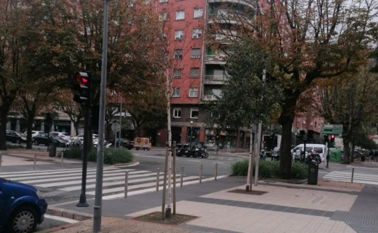 Un árbol seco, en la calle Azpeitia | El Diario Vasco