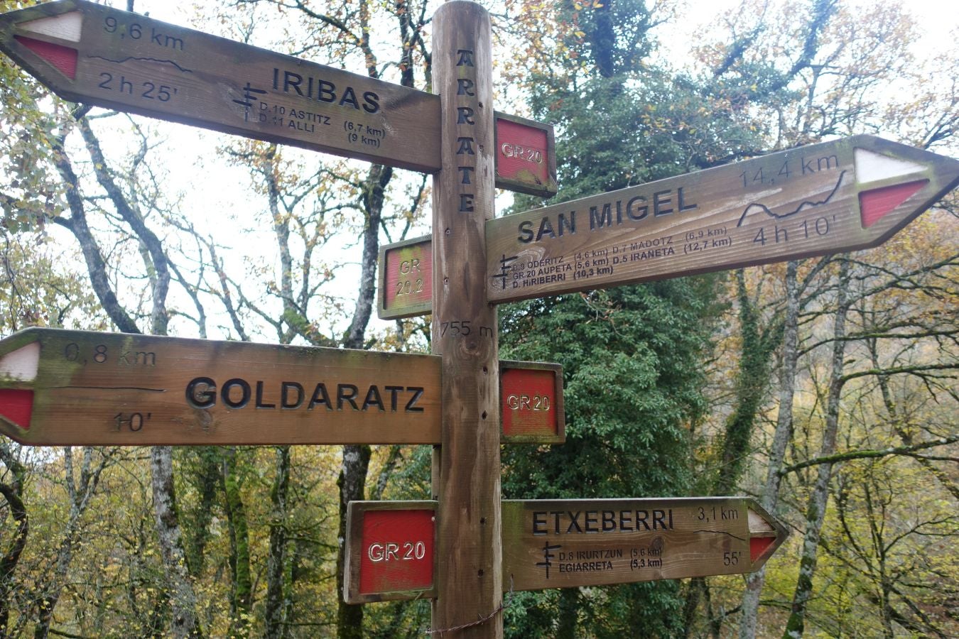 Fotos: Larrazpil, señor de la niebla de Aralar