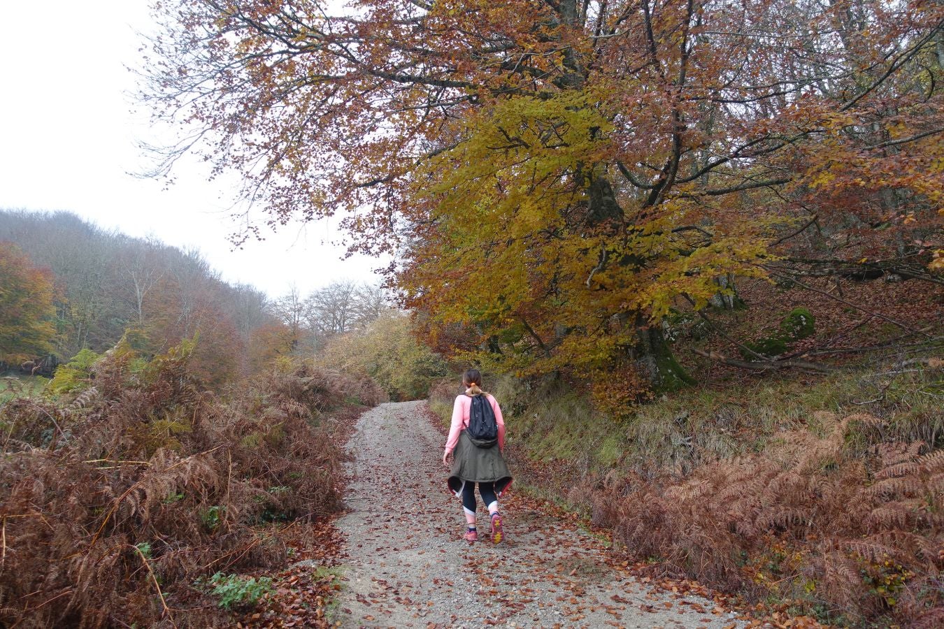 Fotos: Larrazpil, señor de la niebla de Aralar