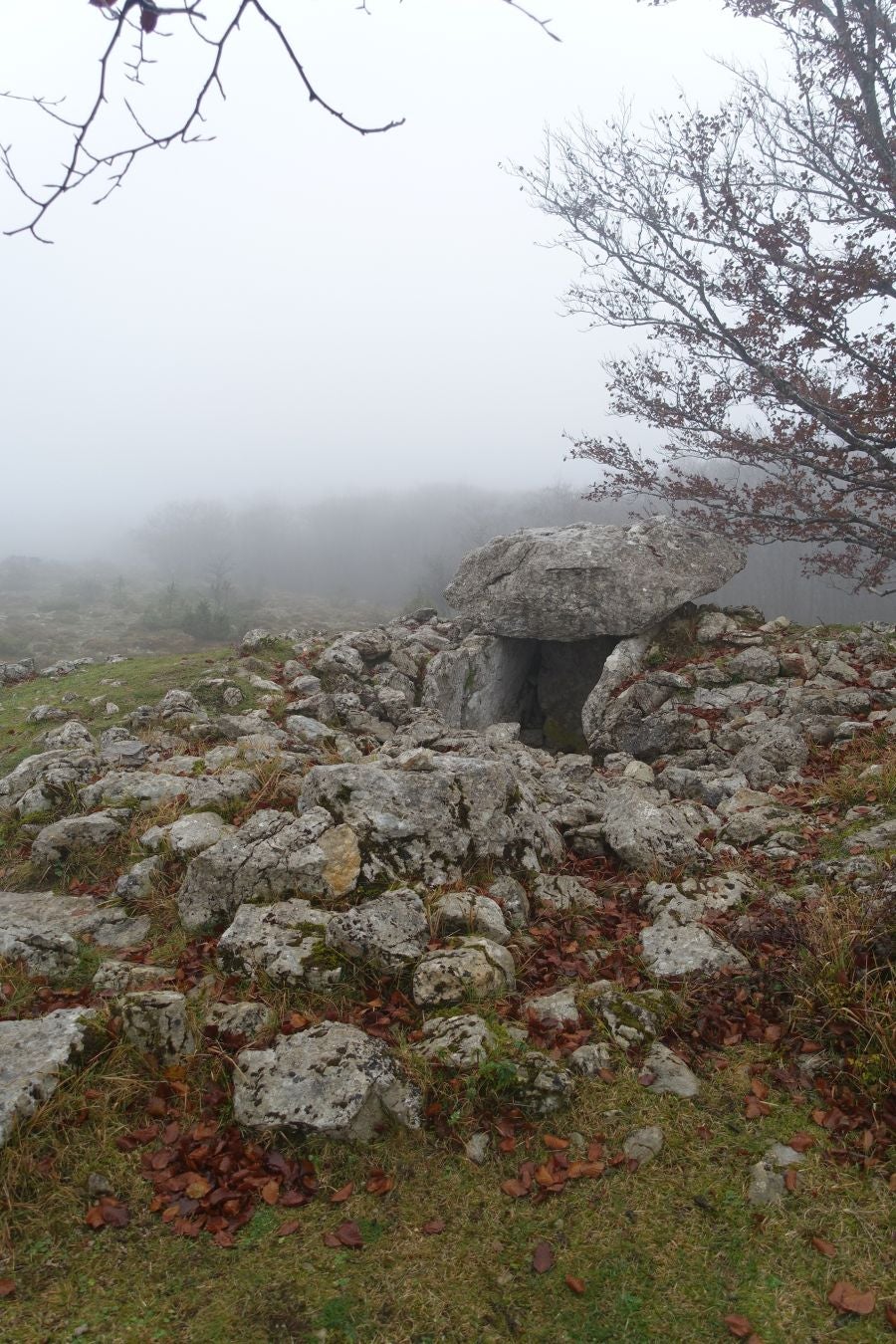 Fotos: Larrazpil, señor de la niebla de Aralar