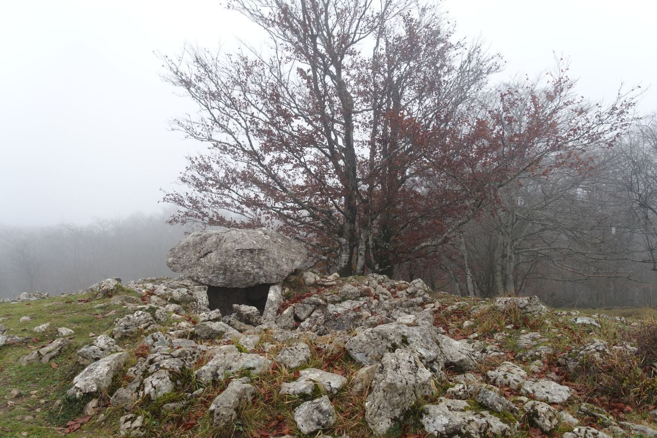 Fotos: Larrazpil, señor de la niebla de Aralar