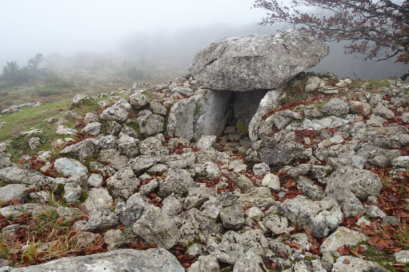 Fotos: Larrazpil, señor de la niebla de Aralar