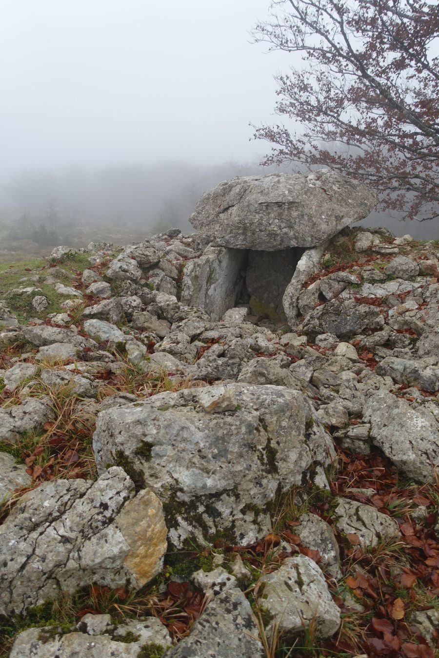 Fotos: Larrazpil, señor de la niebla de Aralar