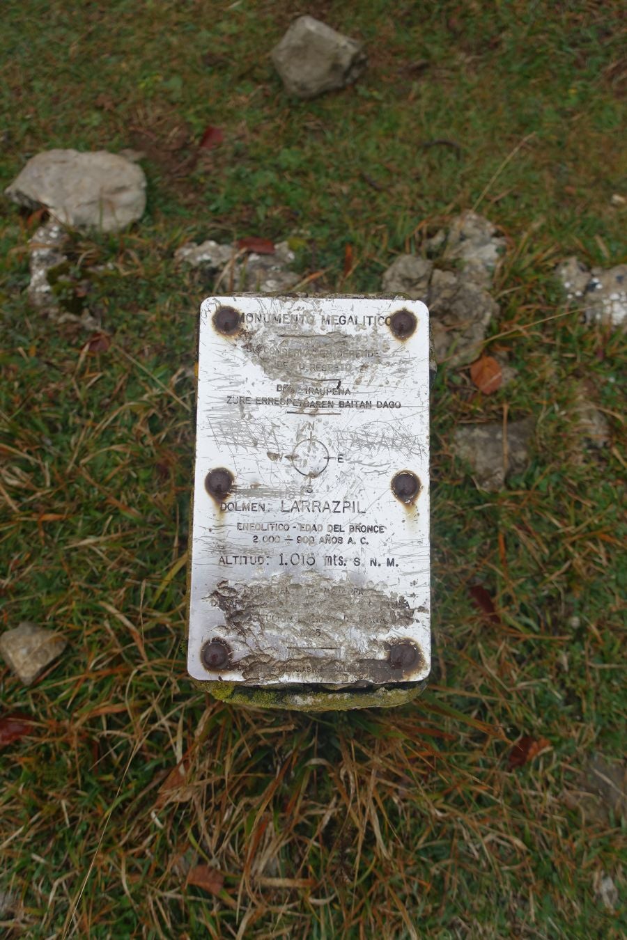 Fotos: Larrazpil, señor de la niebla de Aralar