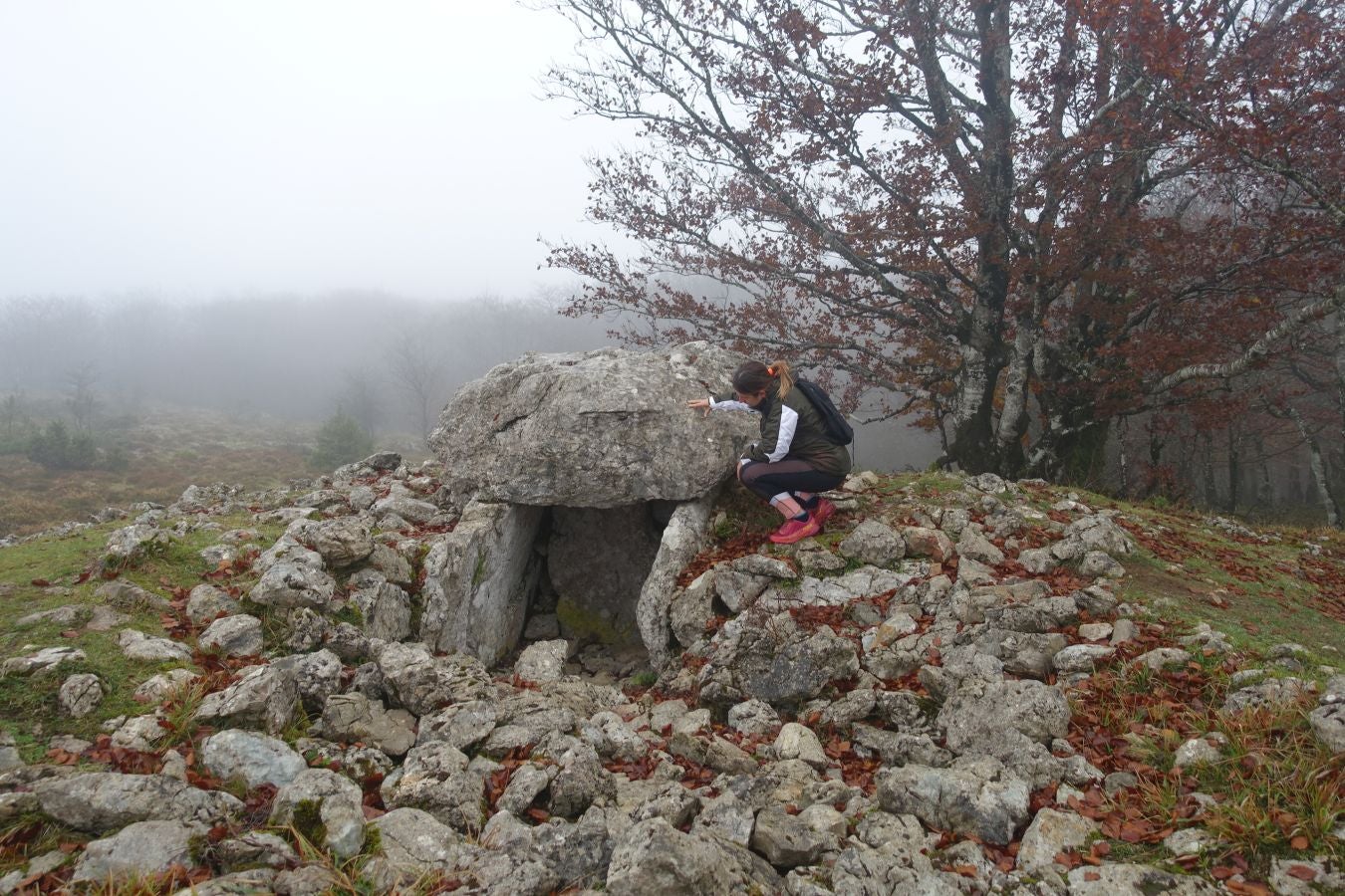 Fotos: Larrazpil, señor de la niebla de Aralar