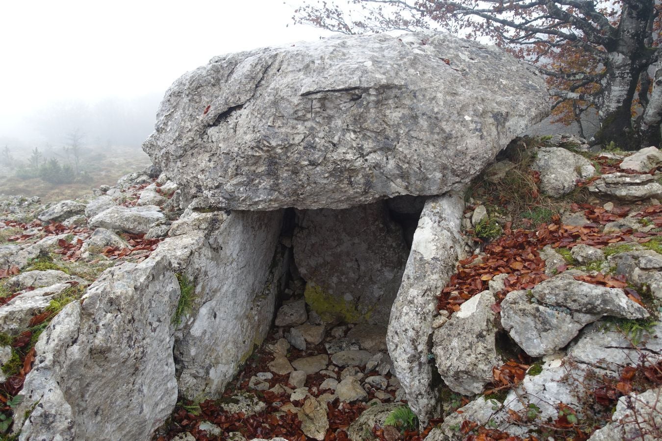 Fotos: Larrazpil, señor de la niebla de Aralar
