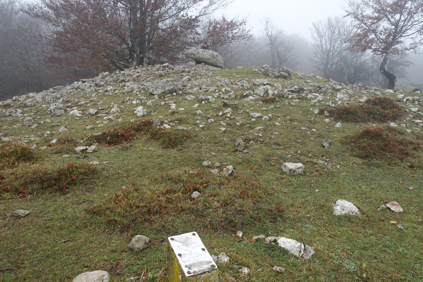Fotos: Larrazpil, señor de la niebla de Aralar
