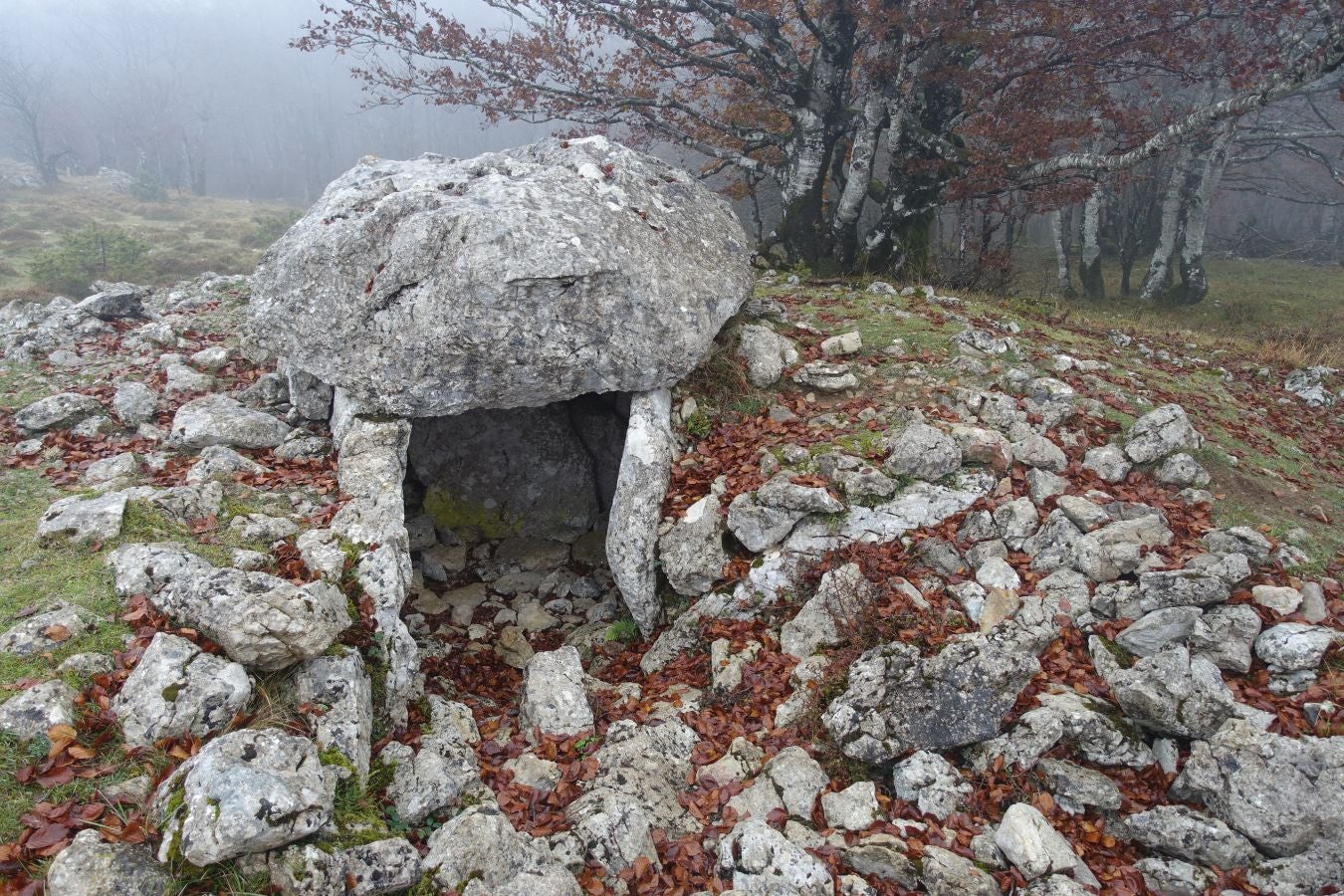 Fotos: Larrazpil, señor de la niebla de Aralar