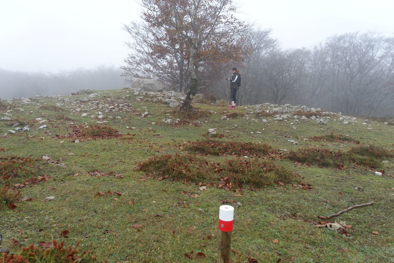 Fotos: Larrazpil, señor de la niebla de Aralar