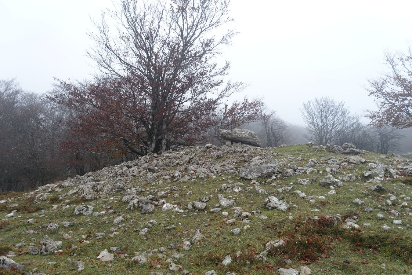 Fotos: Larrazpil, señor de la niebla de Aralar