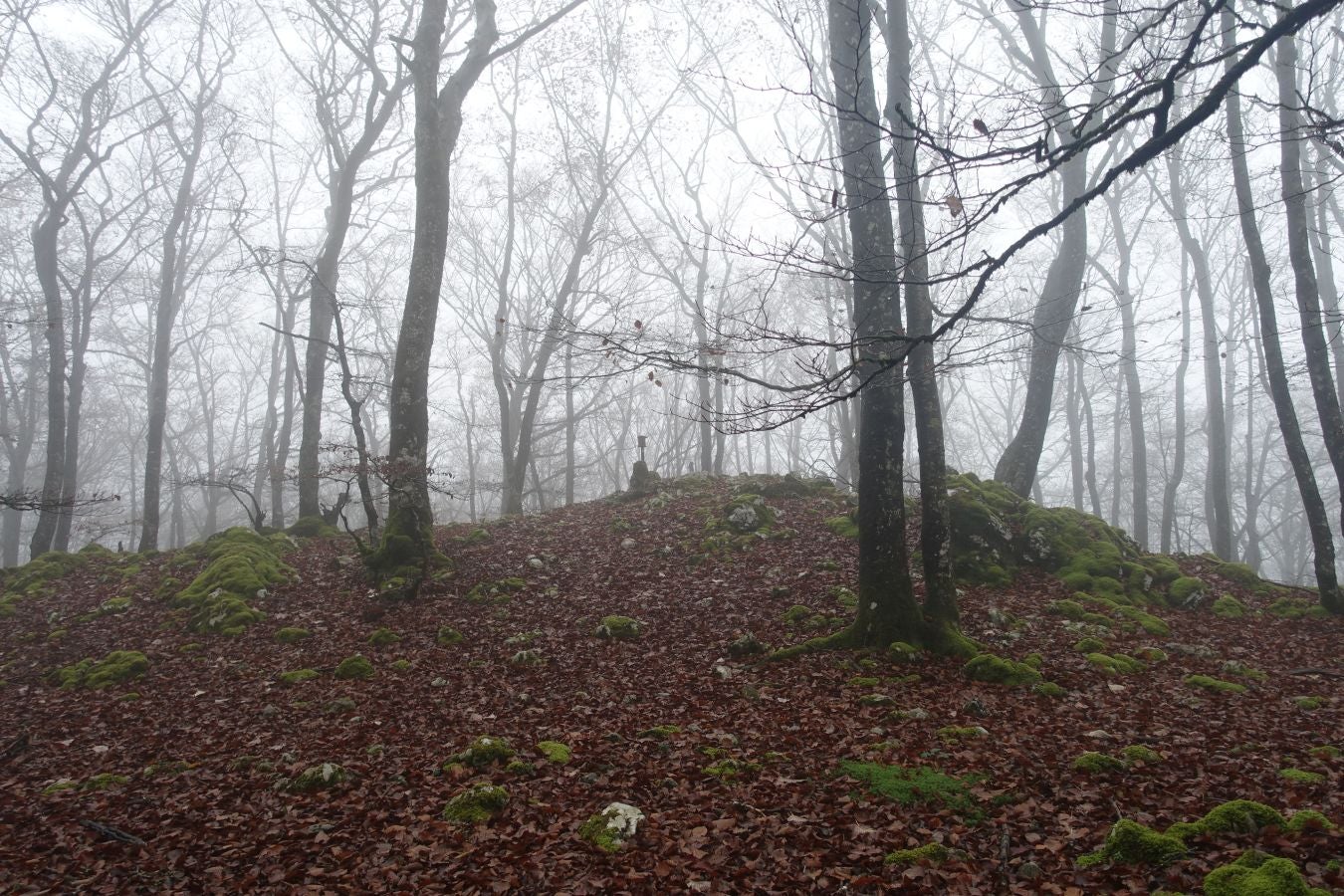 Fotos: Larrazpil, señor de la niebla de Aralar
