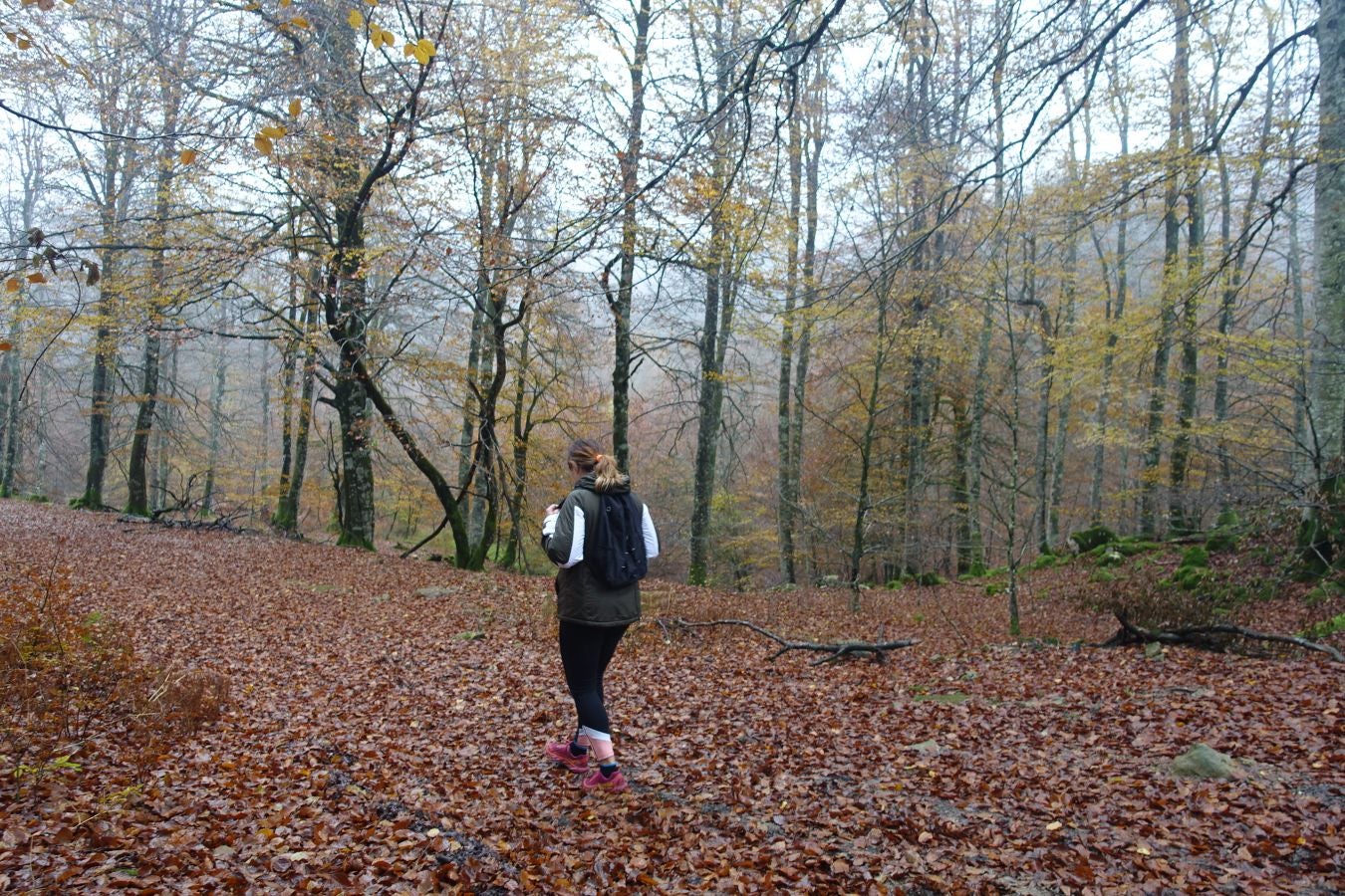 Fotos: Larrazpil, señor de la niebla de Aralar